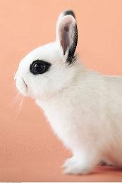 《CYBORG-PROTOTYPE》Steam上线 3D肉鸽战斗